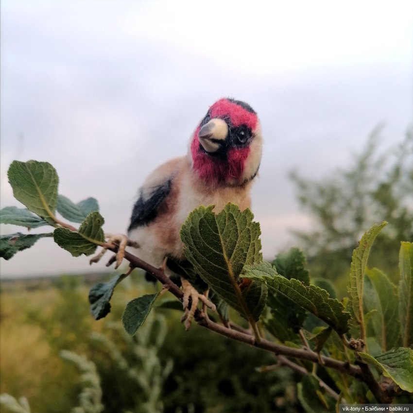 Щегол — Игрушки в смешанной технике (мех и глина): Арт (фото 2)