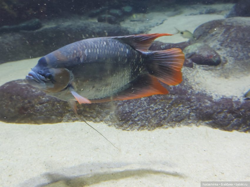 Fashion Dolls 398 — Туризм и путешествия: фотоотчеты из поездок