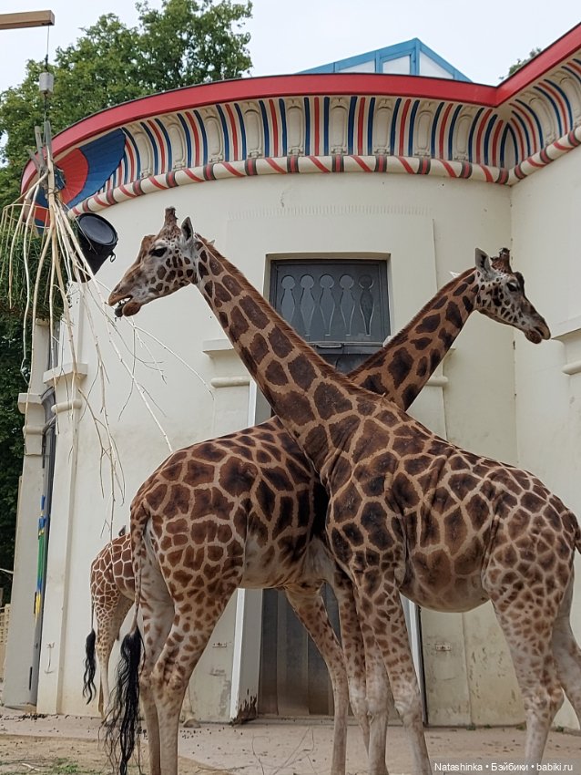 Fashion Dolls 398 — Туризм и путешествия: фотоотчеты из поездок (фото 6)