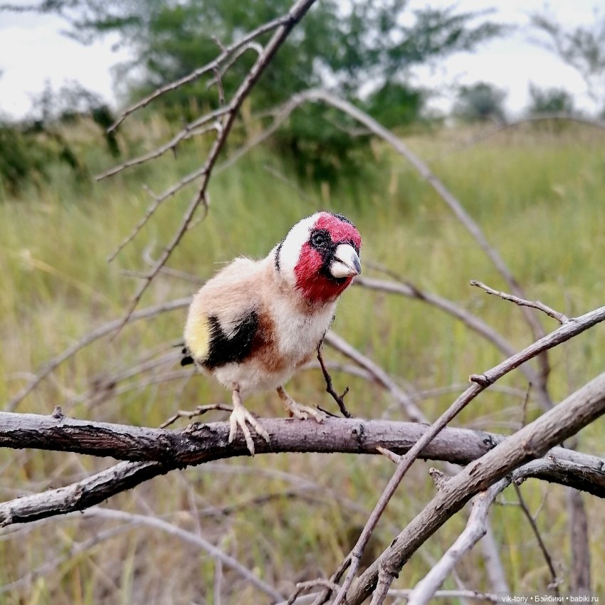 Щегол — Игрушки в смешанной технике (мех и глина): Арт