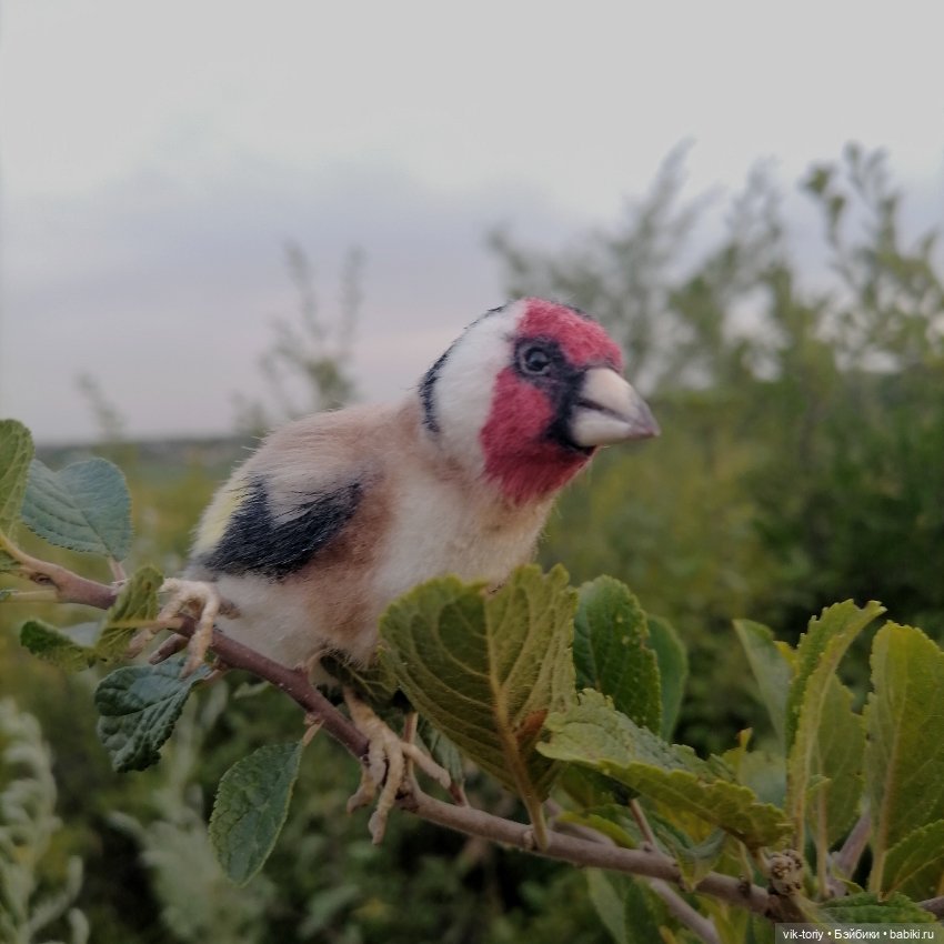 Щегол — Игрушки в смешанной технике (мех и глина): Арт (фото 6)