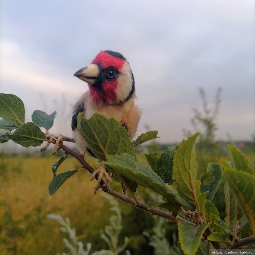 Щегол — Игрушки в смешанной технике (мех и глина): Арт