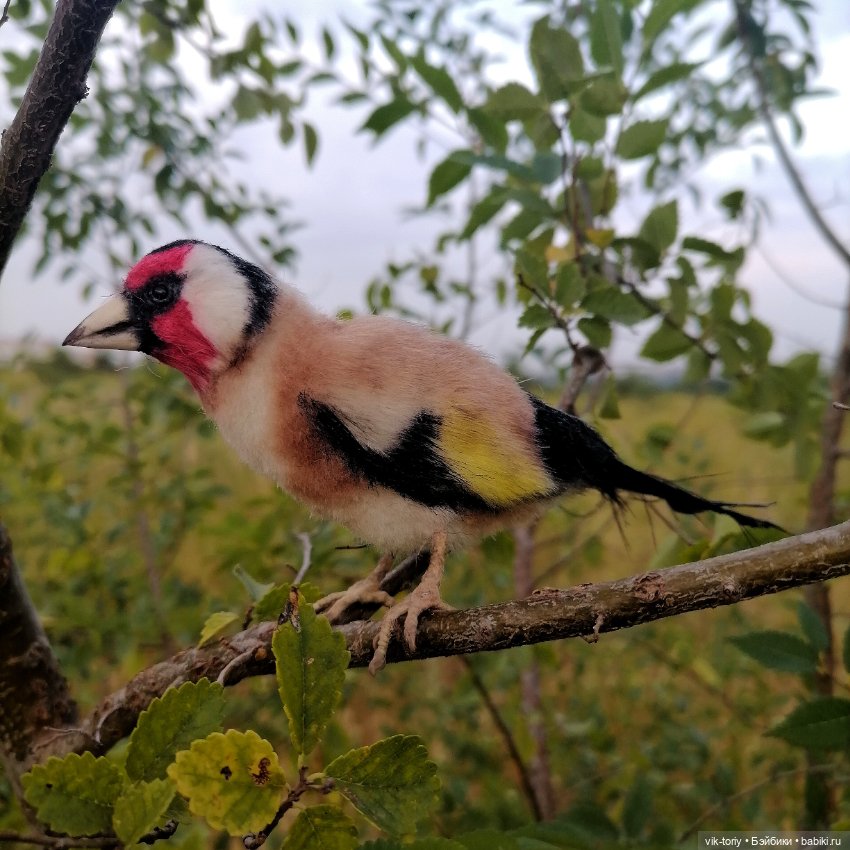 Щегол — Игрушки в смешанной технике (мех и глина): Арт (фото 3)