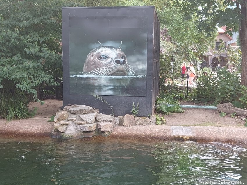 Fashion Dolls 398 — Туризм и путешествия: фотоотчеты из поездок