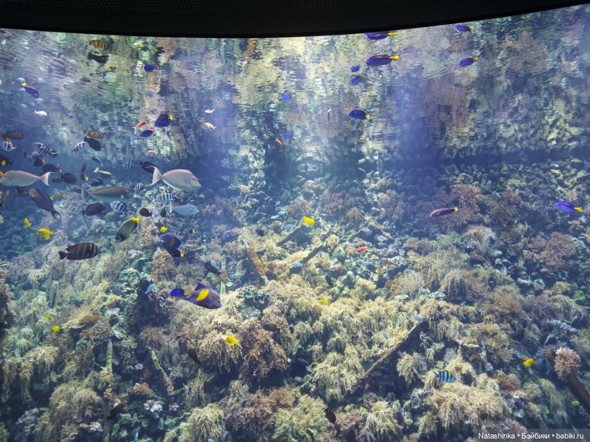 Fashion Dolls 398 — Туризм и путешествия: фотоотчеты из поездок