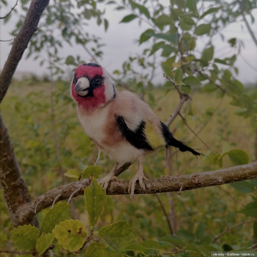 Щегол — Игрушки в смешанной технике (мех и глина): Арт