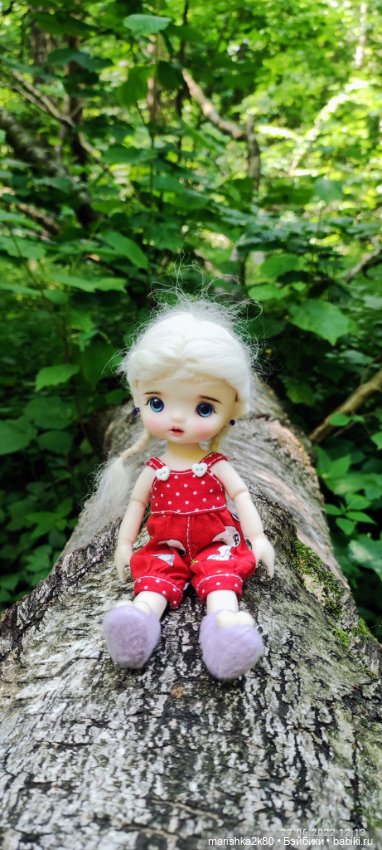 Летние фото кукол и игрушек
