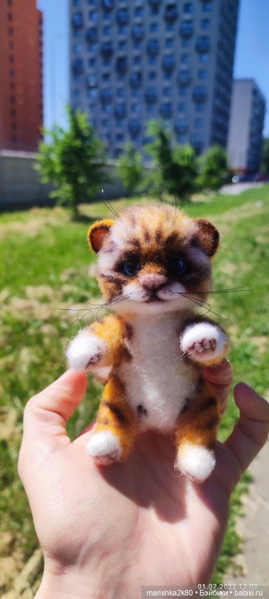 Летние фото кукол и игрушек