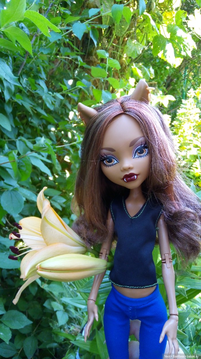 Монстер Хай, Клодин (42см) - фото на природе и в бассейне 🌞