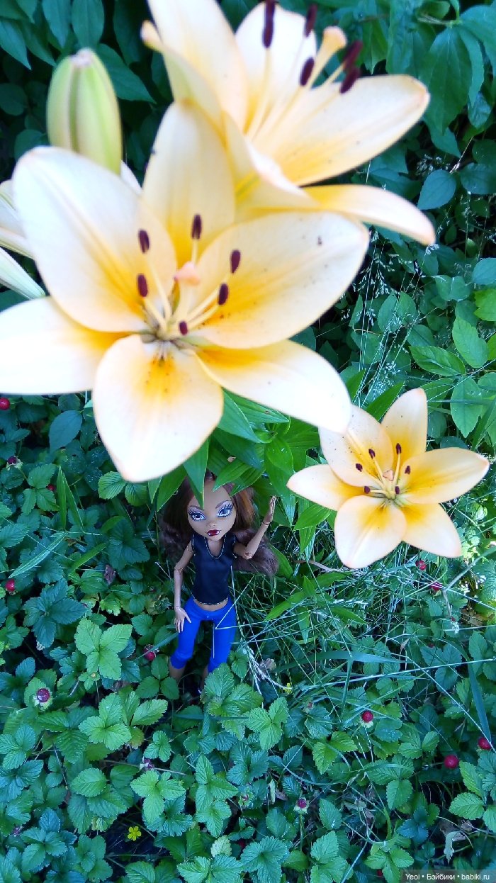 Монстер Хай, Клодин (42см) - фото на природе и в бассейне 🌞