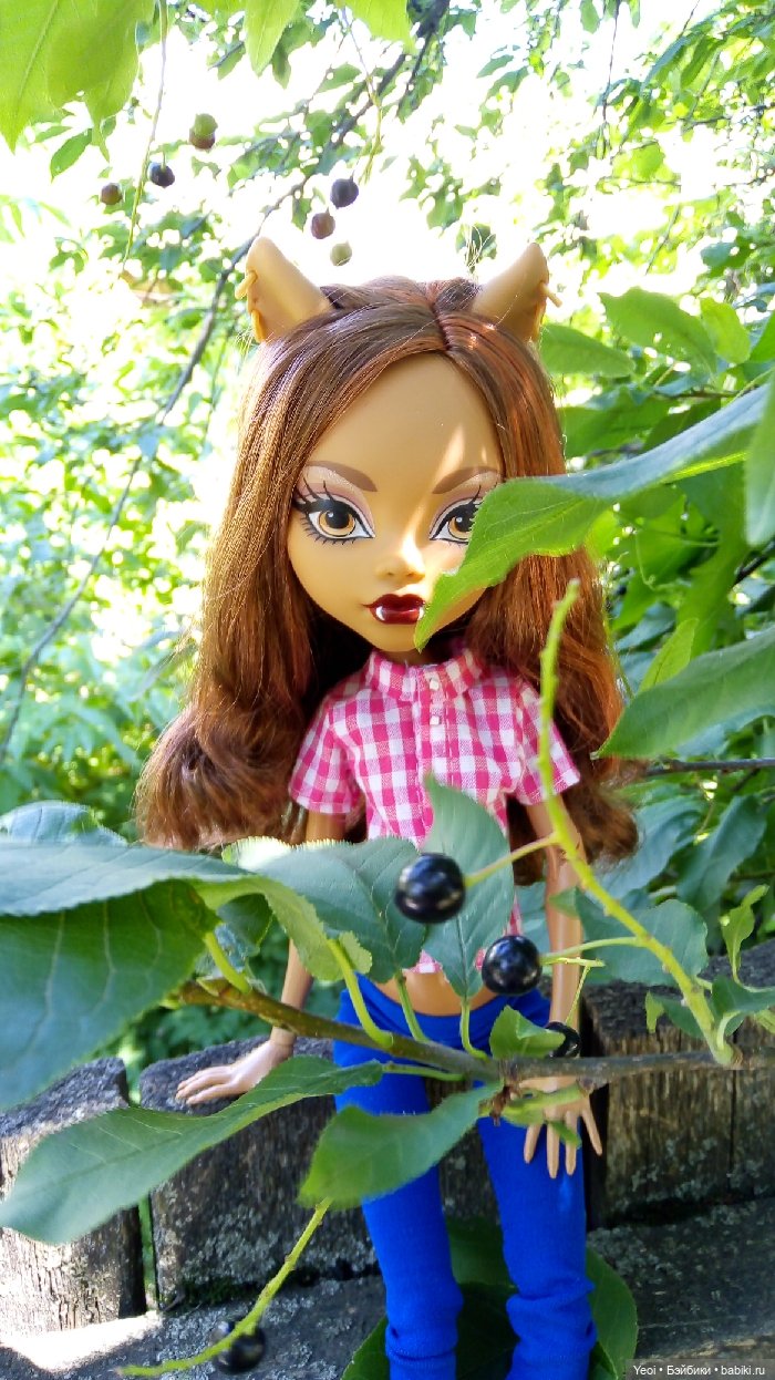 Монстер Хай, Клодин (42см) - фото на природе и в бассейне 🌞 (фото 9)