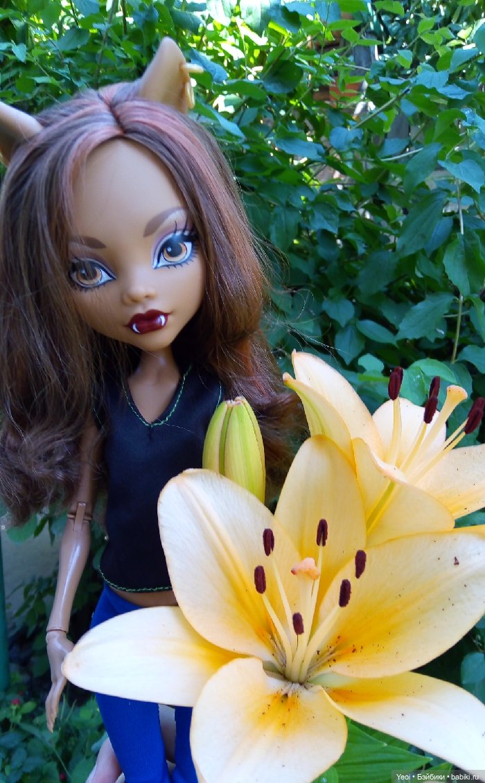 Монстер Хай, Клодин (42см) - фото на природе и в бассейне 🌞