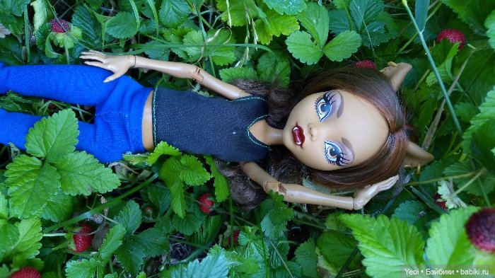 Монстер Хай, Клодин (42см) - фото на природе и в бассейне 🌞