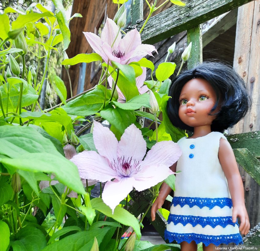 Платье новое,цветы тоже — Куклы Paola Reina (Паола Рейна): новинки