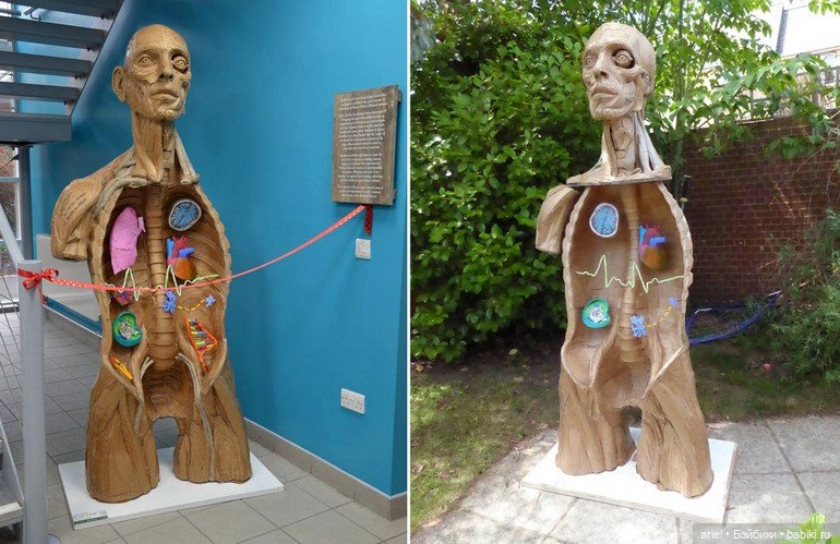 Анатомический крик Джеймса Лейка (James Lake) (фото 10)