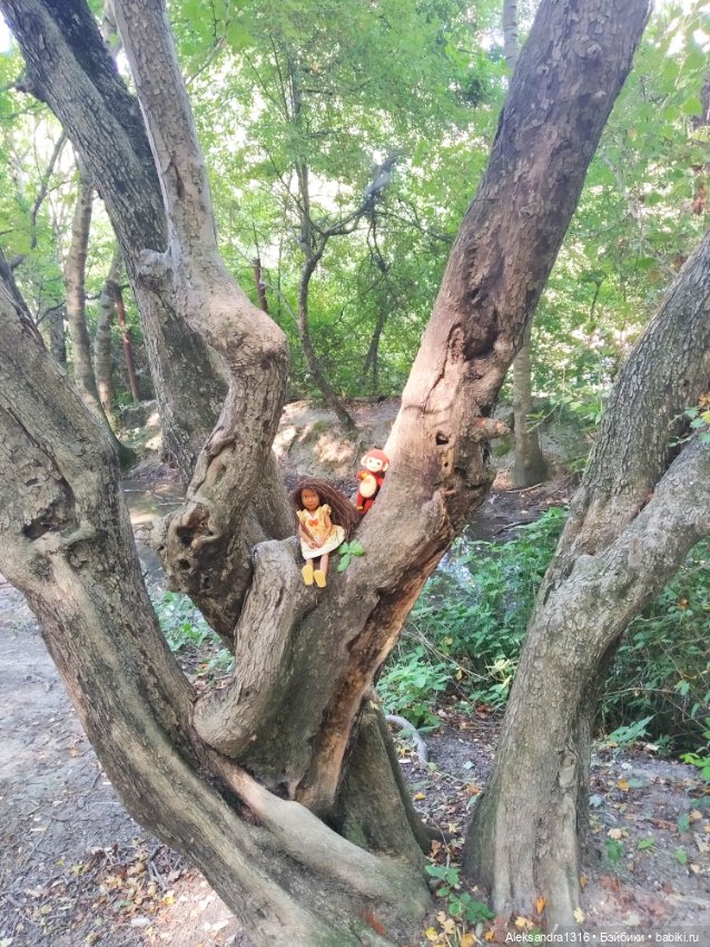 Воздух,солнце и вода-наша лучшая еда