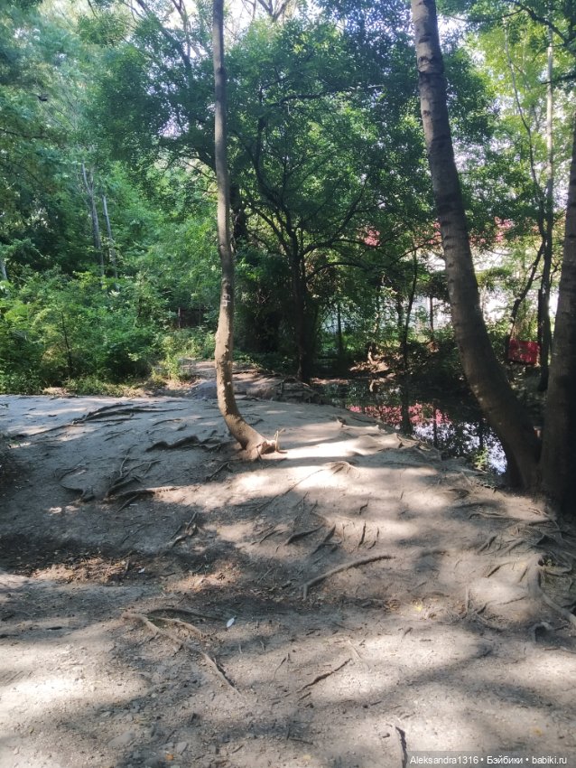 Воздух,солнце и вода-наша лучшая еда