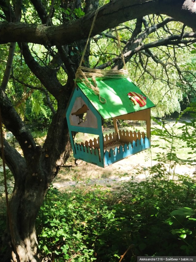 Воздух,солнце и вода-наша лучшая еда