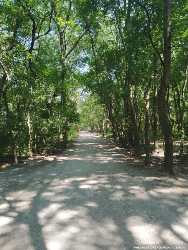 Воздух,солнце и вода-наша лучшая еда