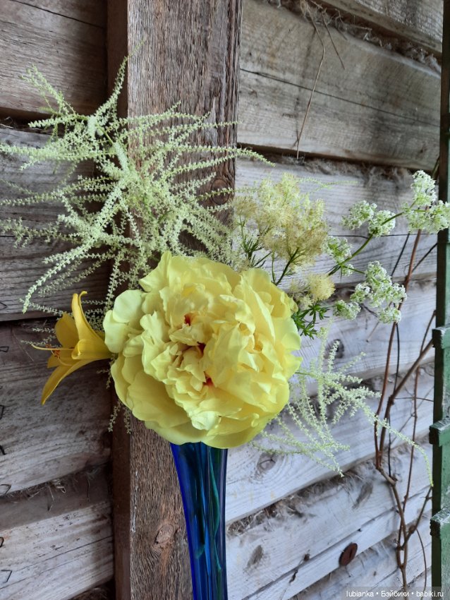 Последний пион и новое платье