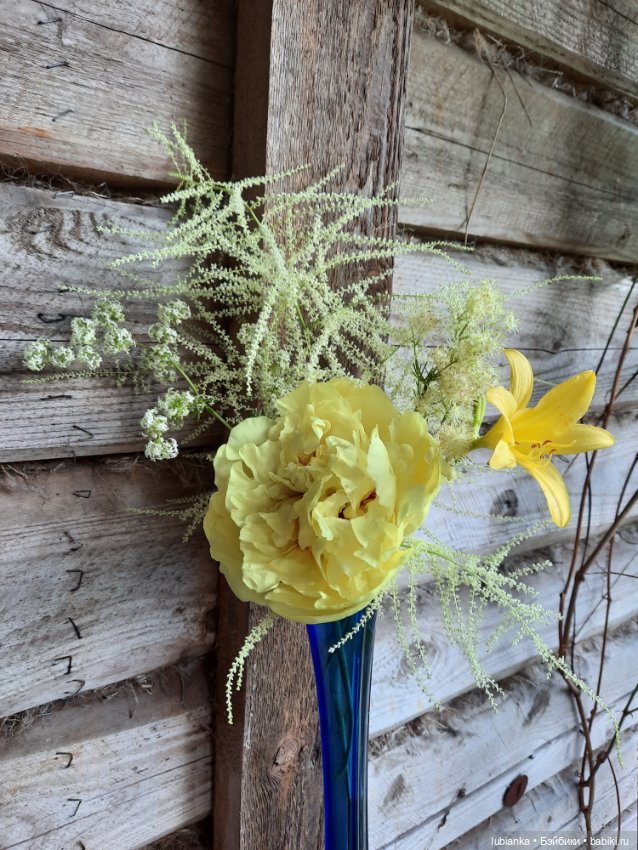 Последний пион и новое платье