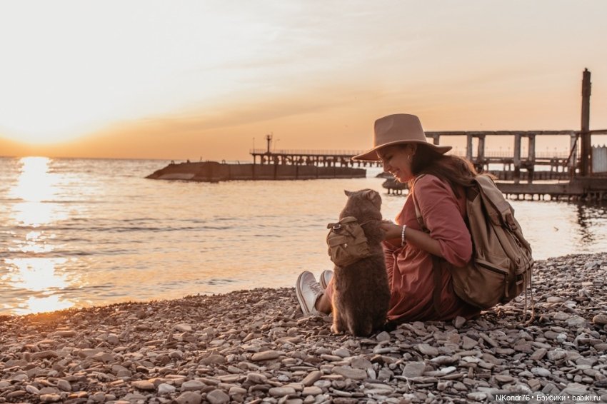 Провалившийся план пошива вещей на кошек (фото 5)