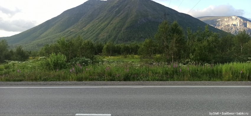 Немножко нашей северной природы (фото 2)