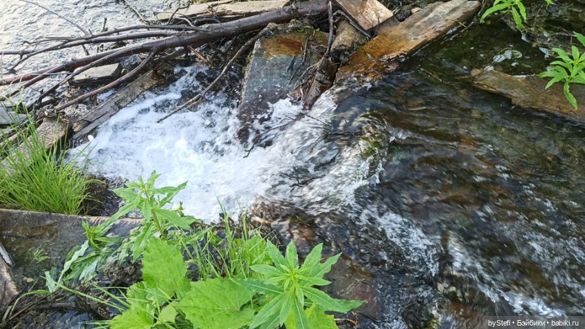 Немножко нашей северной природы (фото 8)