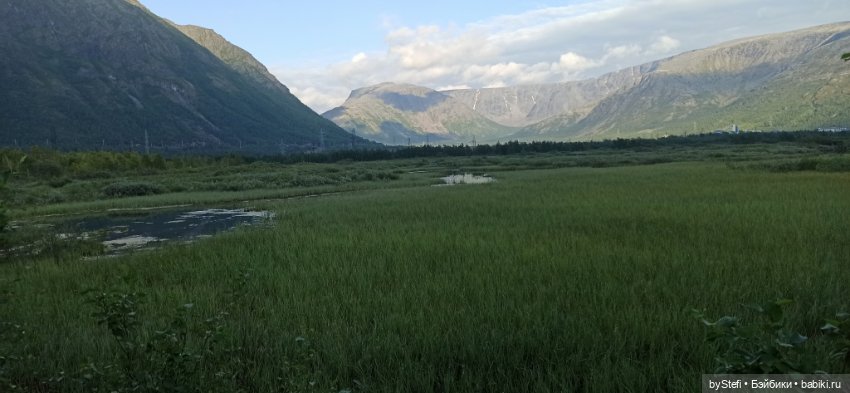 Немножко нашей северной природы (фото 9)