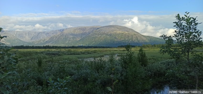Немножко нашей северной природы