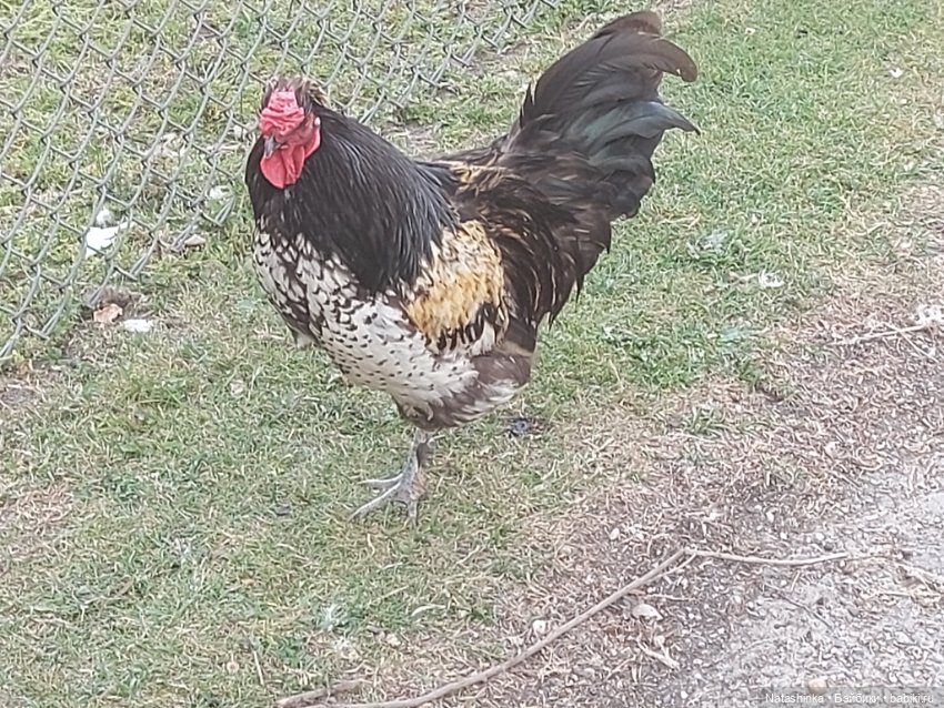 Fashion Dolls 399 — Туризм и путешествия: фотоотчеты из поездок