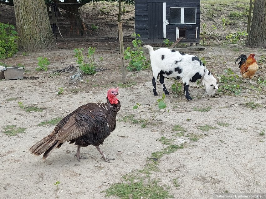 Fashion Dolls 399 — Туризм и путешествия: фотоотчеты из поездок (фото 8)