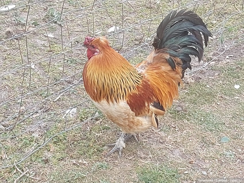 Fashion Dolls 399 — Туризм и путешествия: фотоотчеты из поездок