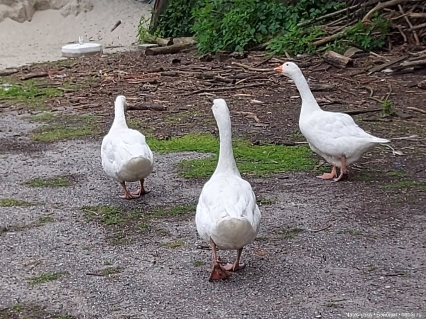 Fashion Dolls 399 — Туризм и путешествия: фотоотчеты из поездок