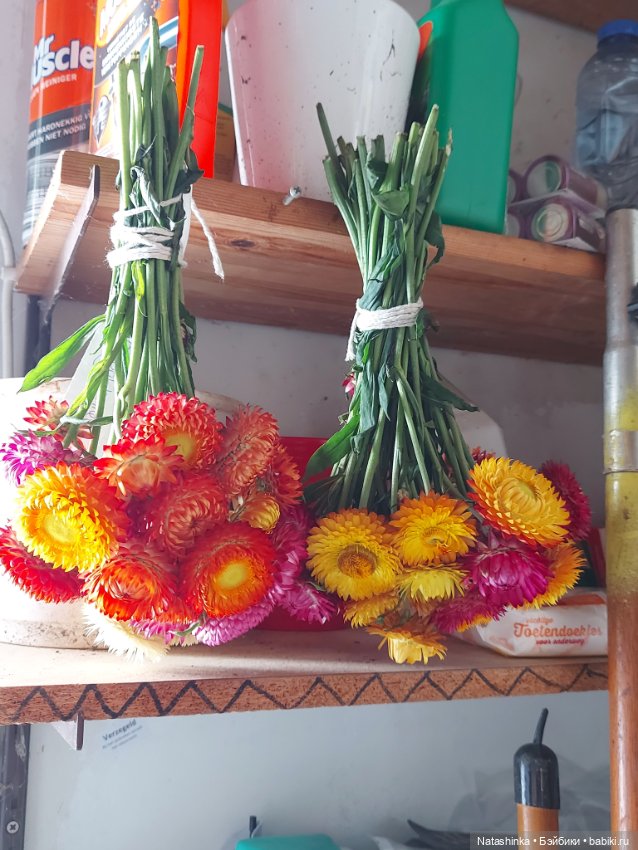 Fashion Dolls 399 — Туризм и путешествия: фотоотчеты из поездок