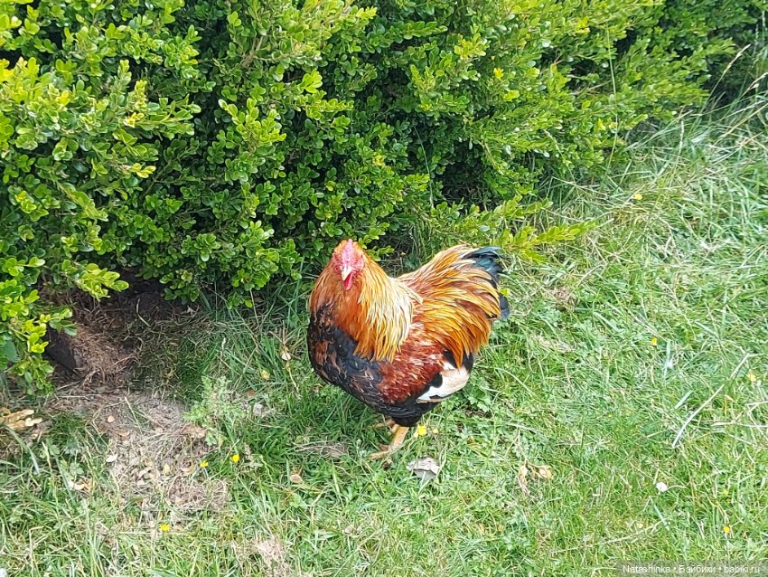 Fashion Dolls 399 — Туризм и путешествия: фотоотчеты из поездок