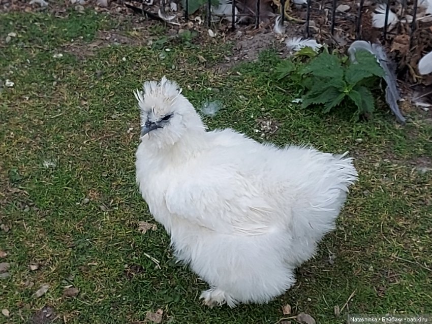 Fashion Dolls 399 — Туризм и путешествия: фотоотчеты из поездок