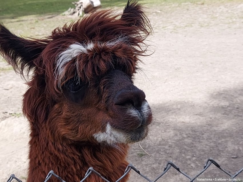 Fashion Dolls 399 — Туризм и путешествия: фотоотчеты из поездок (фото 10)