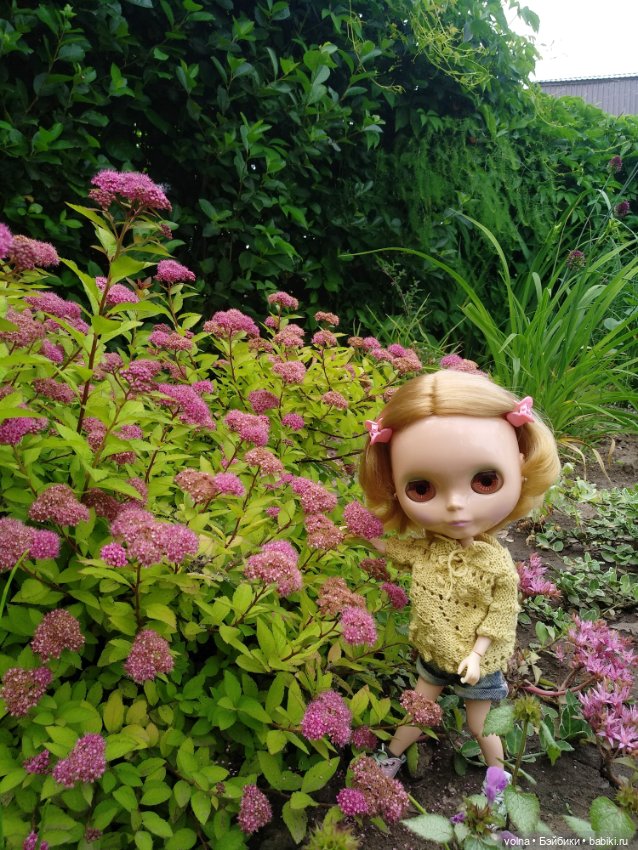 День в саду — Оригинальные куклы Blythe (Блайз): Takara