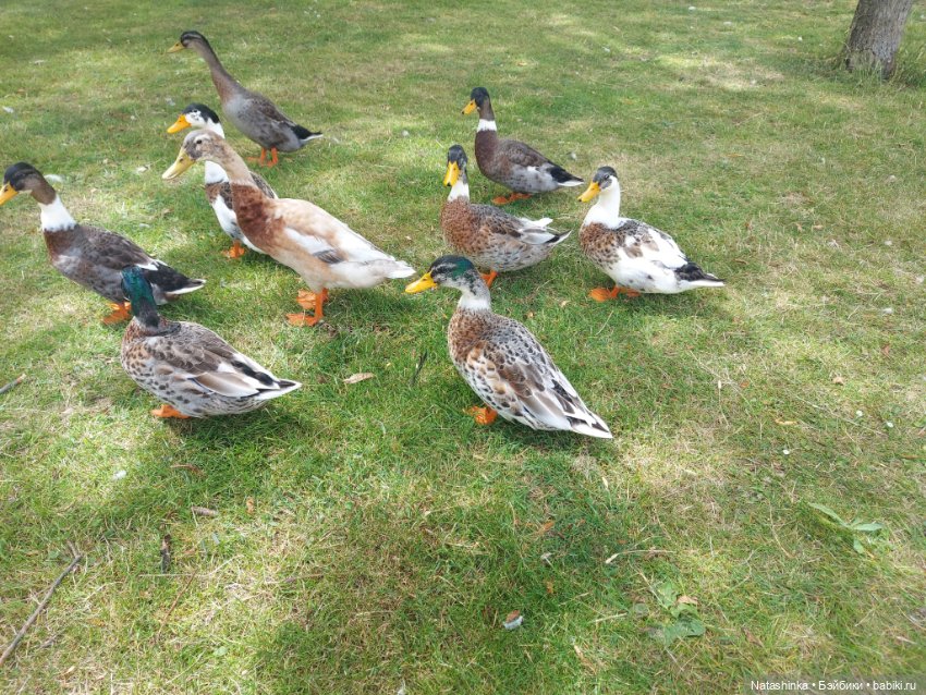 Fashion Dolls 399 — Туризм и путешествия: фотоотчеты из поездок