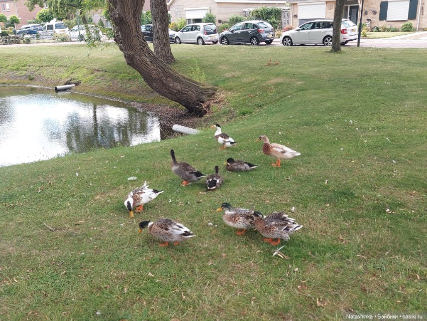 Fashion Dolls 399 — Туризм и путешествия: фотоотчеты из поездок