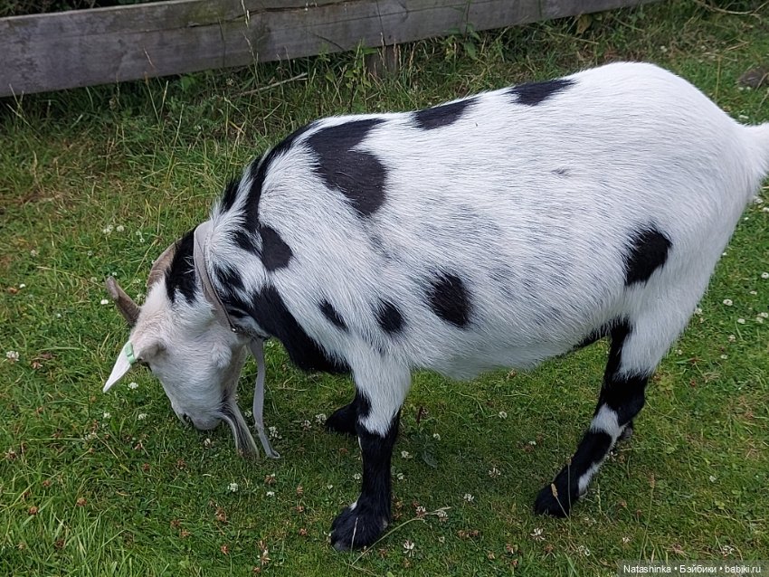 Fashion Dolls 399 — Туризм и путешествия: фотоотчеты из поездок