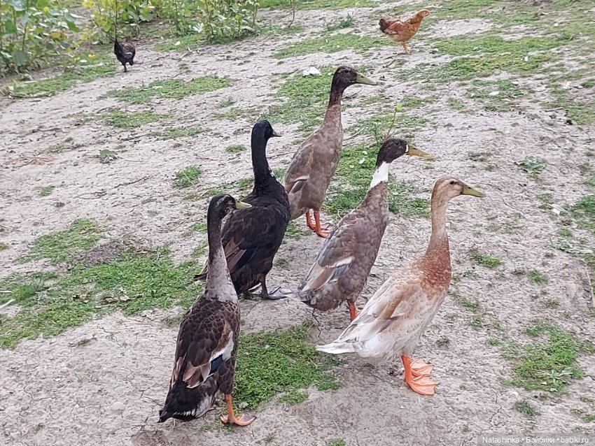 Fashion Dolls 399 — Туризм и путешествия: фотоотчеты из поездок (фото 7)