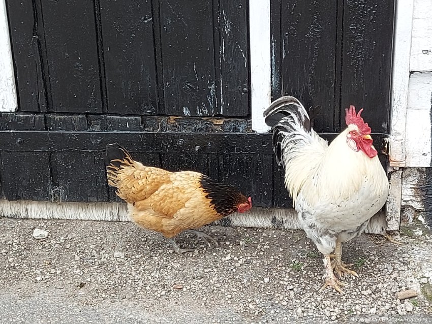 Fashion Dolls 399 — Туризм и путешествия: фотоотчеты из поездок