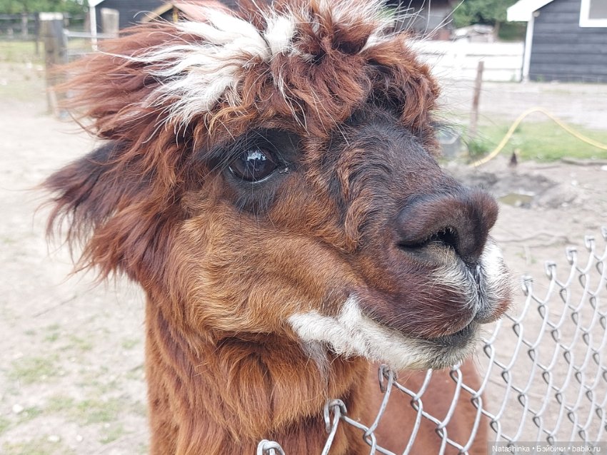 Fashion Dolls 399 — Туризм и путешествия: фотоотчеты из поездок