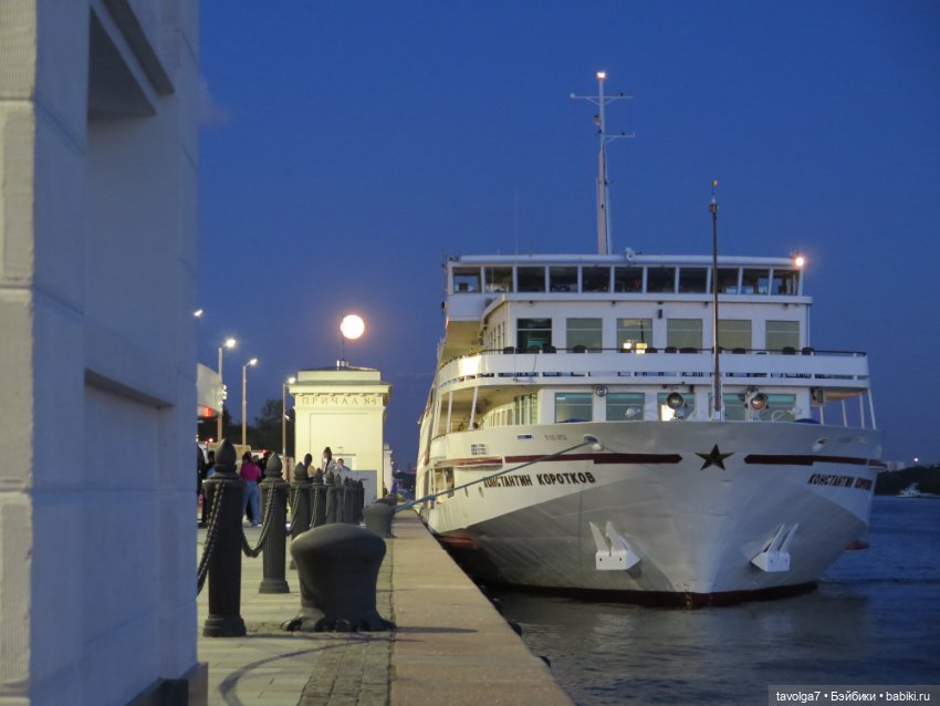 Little Dal на теле Enchantimals