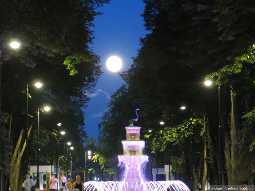 Little Dal на теле Enchantimals