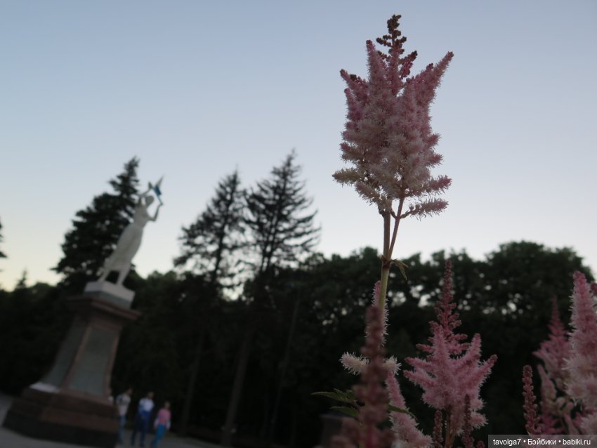 Little Dal на теле Enchantimals (фото 2)