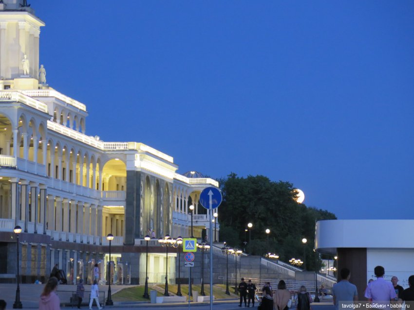 Little Dal на теле Enchantimals