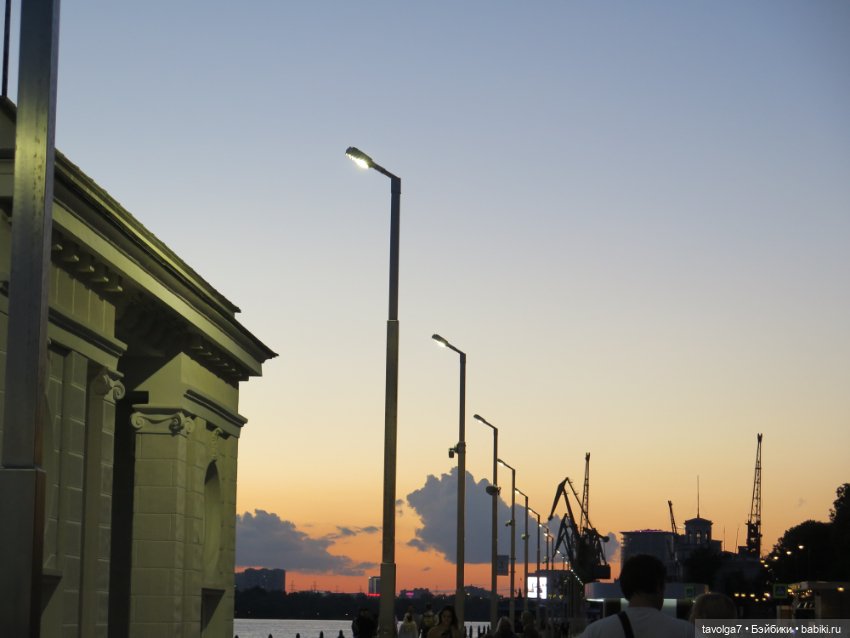 Little Dal на теле Enchantimals